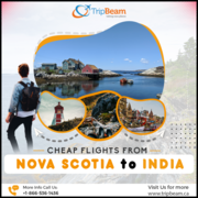 Cheap Flights from Nova Scotia to India | Tripbeam