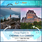 Tripbeam | Cheap Flights to Chennai from Canada